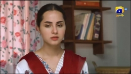 Zindagi Aik Paheli Episode 24 - 23rd Nov 2022